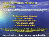 Valdymo funkcijos organizavimas 5 puslapis