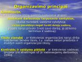 Valdymo funkcijos organizavimas 7 puslapis