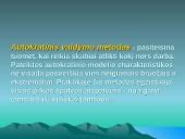 Valdymo metodų palyginimas 4 puslapis