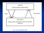 Valdžia ir autoritetas: pagrindiniai jų sąvokos bruožai 3 puslapis
