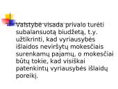 Valstybės sektorius. Fiskalinė politika 4 puslapis