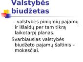 Valstybės sektorius. Fiskalinė politika 5 puslapis