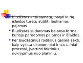 Valstybės sektorius. Fiskalinė politika 6 puslapis
