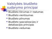 Valstybės sektorius. Fiskalinė politika 7 puslapis