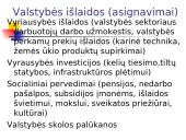 Valstybės sektorius. Fiskalinė politika 10 puslapis
