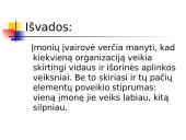 Verslo aplinka ir jos įtaka įmonės vadybai 13 puslapis