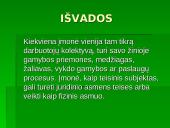 Verslo įmonės samprata. Įmonių klasifikavimas 12 puslapis
