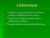 Verslo įmonės samprata. Įmonių klasifikavimas 2 puslapis