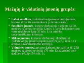 Verslo įmonės samprata. Įmonių klasifikavimas 4 puslapis
