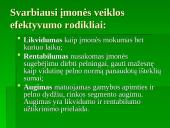 Verslo įmonės samprata. Įmonių klasifikavimas 5 puslapis