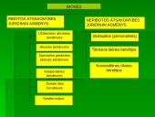 Verslo įmonės samprata. Įmonių klasifikavimas 6 puslapis