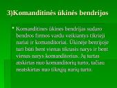 Verslo įmonės samprata. Įmonių klasifikavimas 9 puslapis