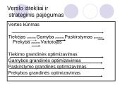 Verslo ištekliai ir strateginis pajėgumas 11 puslapis