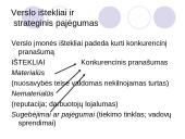 Verslo ištekliai ir strateginis pajėgumas 12 puslapis