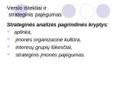 Verslo ištekliai ir strateginis pajėgumas 3 puslapis