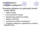 Verslo ištekliai ir strateginis pajėgumas 4 puslapis