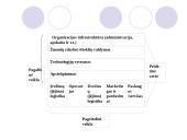 Verslo ištekliai ir strateginis pajėgumas 6 puslapis