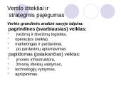Verslo ištekliai ir strateginis pajėgumas 7 puslapis