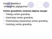 Verslo ištekliai ir strateginis pajėgumas 9 puslapis