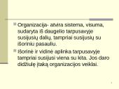 Vidinė ir išorinė valdymo sistemos aplinka 2 puslapis