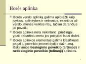 Vidinė ir išorinė valdymo sistemos aplinka 17 puslapis