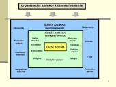 Vidinė ir išorinė valdymo sistemos aplinka 18 puslapis