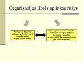 Vidinė ir išorinė valdymo sistemos aplinka 19 puslapis