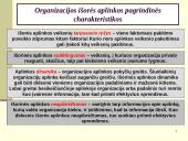 Vidinė ir išorinė valdymo sistemos aplinka 20 puslapis