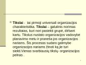 Vidinė ir išorinė valdymo sistemos aplinka 6 puslapis