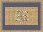 Vidinės aplinkos įvertinimas
