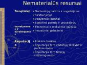 Vidinės aplinkos įvertinimas 11 puslapis