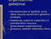 Vidinės aplinkos įvertinimas 12 puslapis