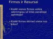 Vidinės aplinkos įvertinimas 3 puslapis