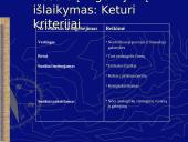 Vidinės aplinkos įvertinimas 8 puslapis