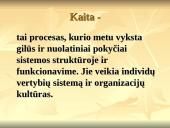 Viešasis administravimas: pokyčiai organizacijoje ir strateginis valdymas 3 puslapis