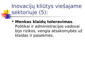 Viešųjų institucijų atsinaujinimo inovacinė vadyba 13 puslapis