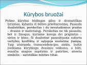 Vincas Mykolaitis-Putinas, jo biografija bei kūrybos bruožai 12 puslapis