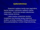 XX amžiaus vidurio vadybos kryptys ir teorijos 17 puslapis
