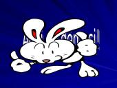 XXI amžiaus komunikacijos priemonės organizacijoje 17 puslapis