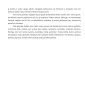 Karališkųjų teisėjų vaidmuo kuriant Anglijos bendrąją teisę 3 puslapis