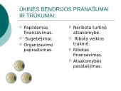 Akcinių bendrovių reikšmė šiuolaikiniam ūkiui 11 puslapis