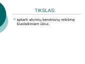 Akcinių bendrovių reikšmė šiuolaikiniam ūkiui 3 puslapis