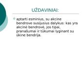 Akcinių bendrovių reikšmė šiuolaikiniam ūkiui 4 puslapis