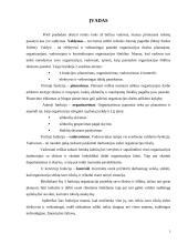 Aš vadovas 3 puslapis