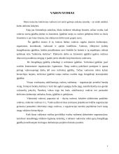 Aš vadovas 4 puslapis