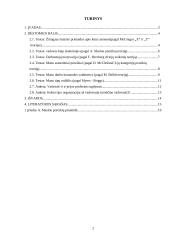 Aš vadovas, vadovo sąvybės 2 puslapis