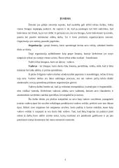 Aš vadovas, vadovo sąvybės 3 puslapis