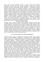 Ekonomikos faktoriai 11 puslapis