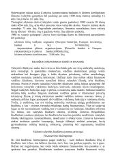 Ekonomikos faktoriai 16 puslapis