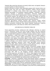 Ekonomikos faktoriai 18 puslapis